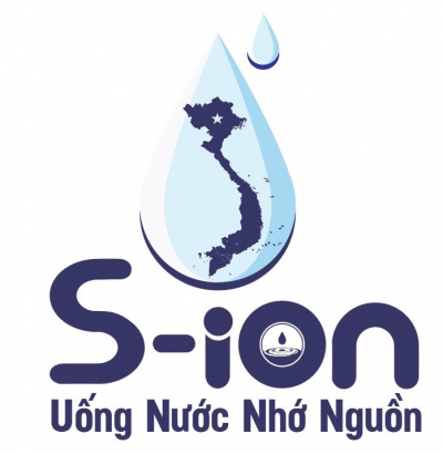 S-ION GROUP