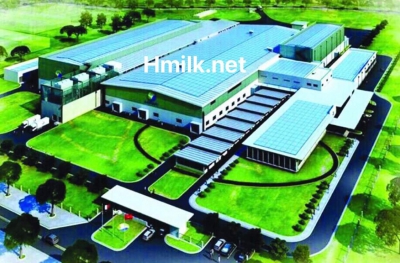 SẢN XUẤT SỮA VIỆT NAM