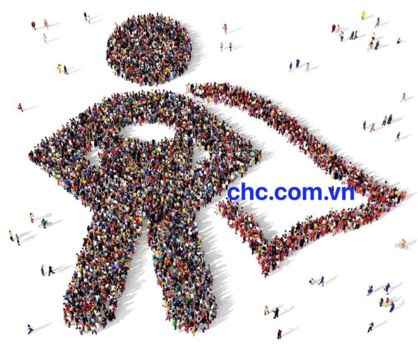 CHC MÔ HÌNH DOANH NGHIỆP LẠ Ở VIỆT NAM